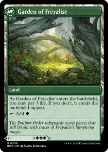 Disciple of Freyalise (foil)