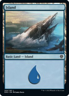 Island (#266) (foil)