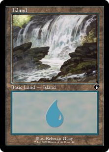 Island (#441) (foil)