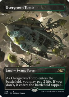 Overgrown Tomb (foil) (borderless)