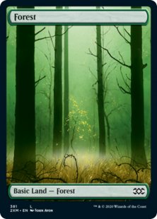 Forest (1) (foil) (full art)