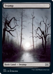 Swamp (1) (foil) (full art)