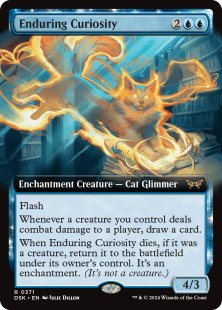 Enduring Curiosity (#371) (extended art)