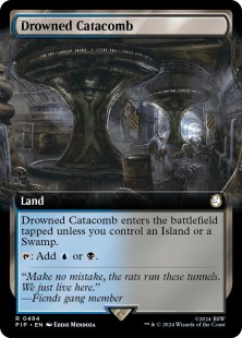 Drowned Catacomb (foil) (extended art)