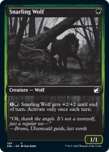 Snarling Wolf (1)