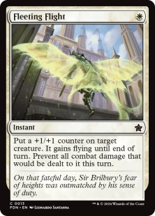 Fleeting Flight (foil)