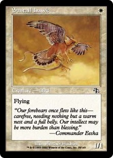 Suntail Hawk (foil)