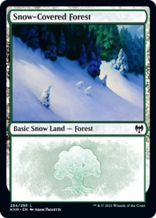 Snow-Covered Forest (#284)