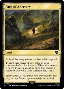 1x Minas Tirith (0341) (Borderless) FOIL - MTG Lord of the Rings - #341
