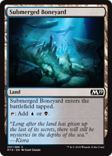 Submerged Boneyard (foil)