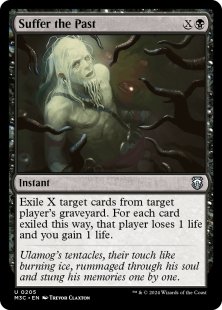 Suffer the Past (ripple foil)