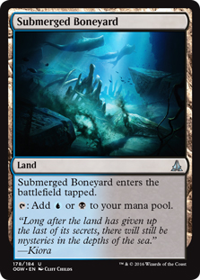 Submerged Boneyard (foil)