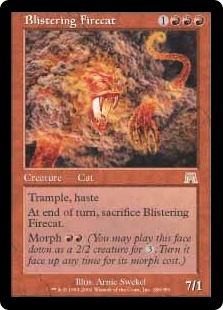 Blistering Firecat (foil)