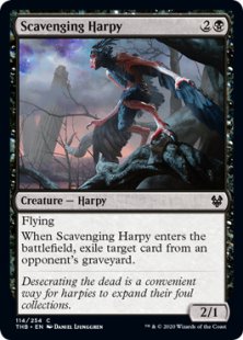 Scavenging Harpy (foil)