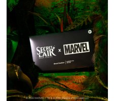 Magic: the Gathering - Secret Lair Drop Series: Secret Lair x Marvel: Black Panther (foil)