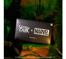 Magic: the Gathering - Secret Lair Drop Series: Secret Lair x Marvel: Black Panther